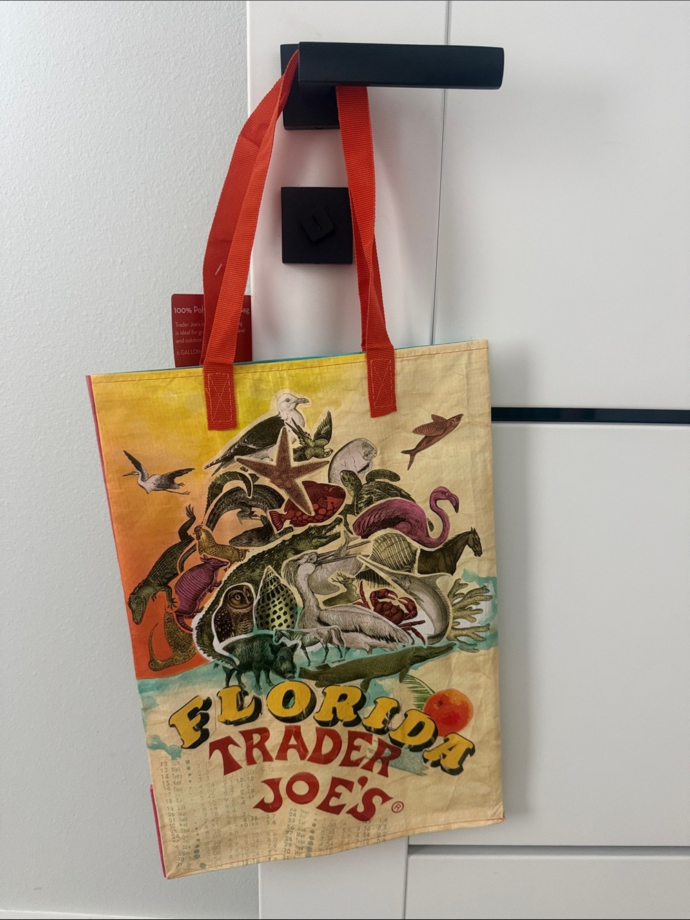 Trader Joe's Florida Canvas Tote Bag with Orange Handles